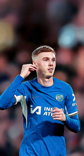 切尔西边锋佩德罗&middot;内托遭遇网络暴力事件深度剖析